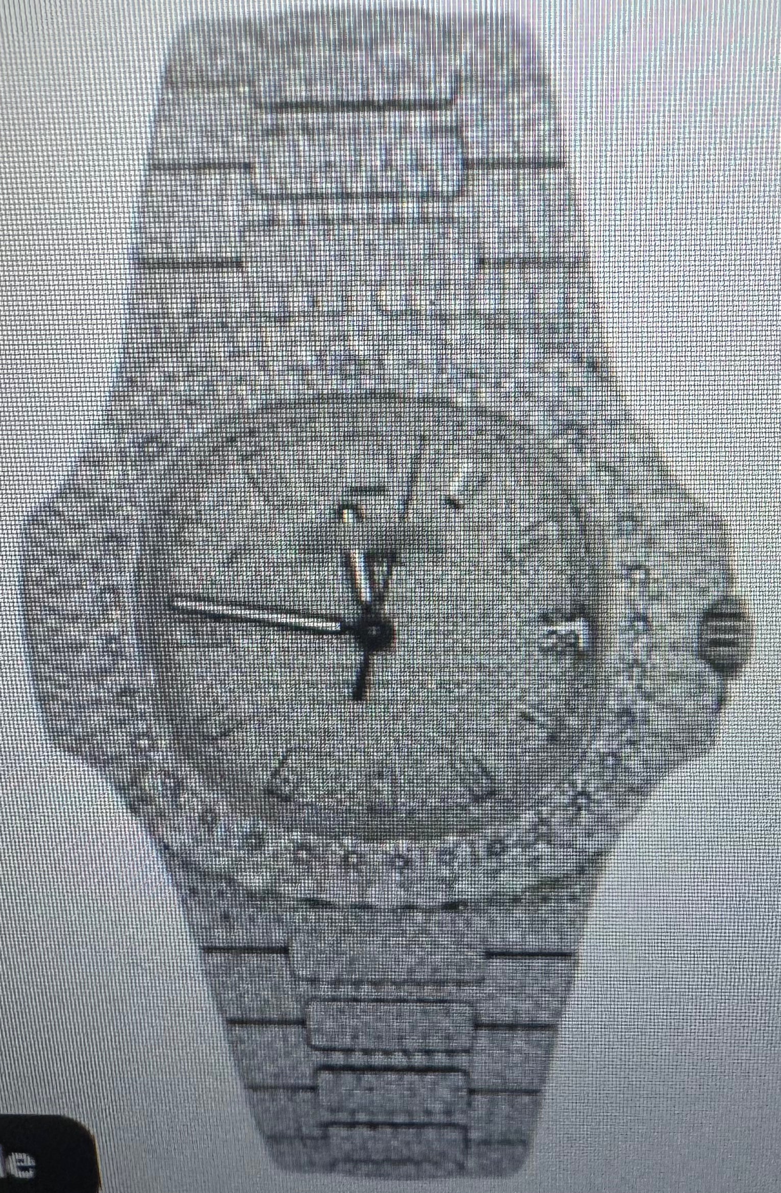 Moissanite watch